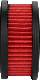 Hipa (Pack of 2) 13030039730 Air Filter for Echo CS370 CS370F CS400 CS400F CS420ES CS3500 CS4200ES CS5000 Chainsaw